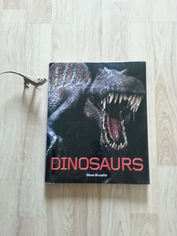 Dinosaurs - Dino books