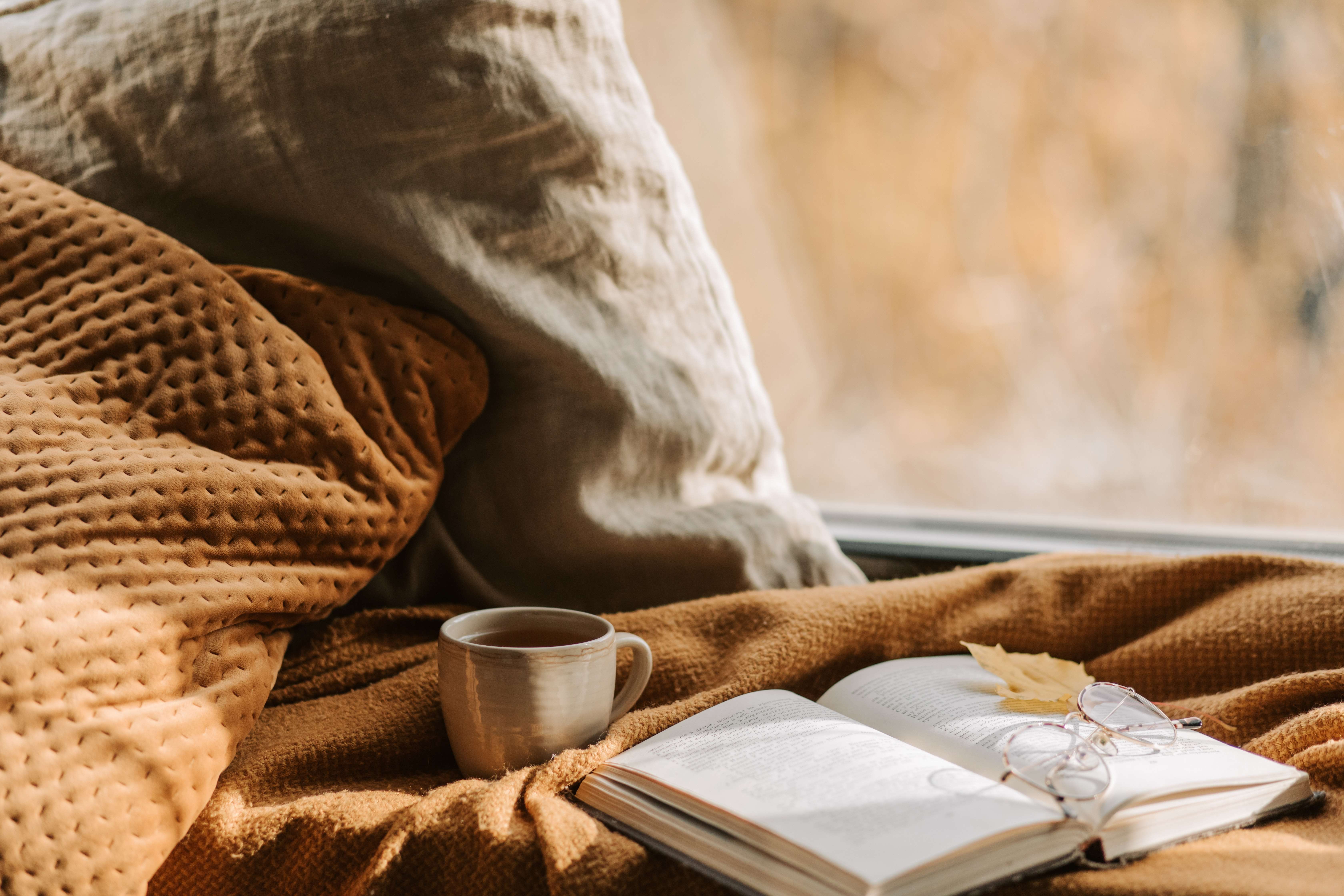 importance of literature to a student